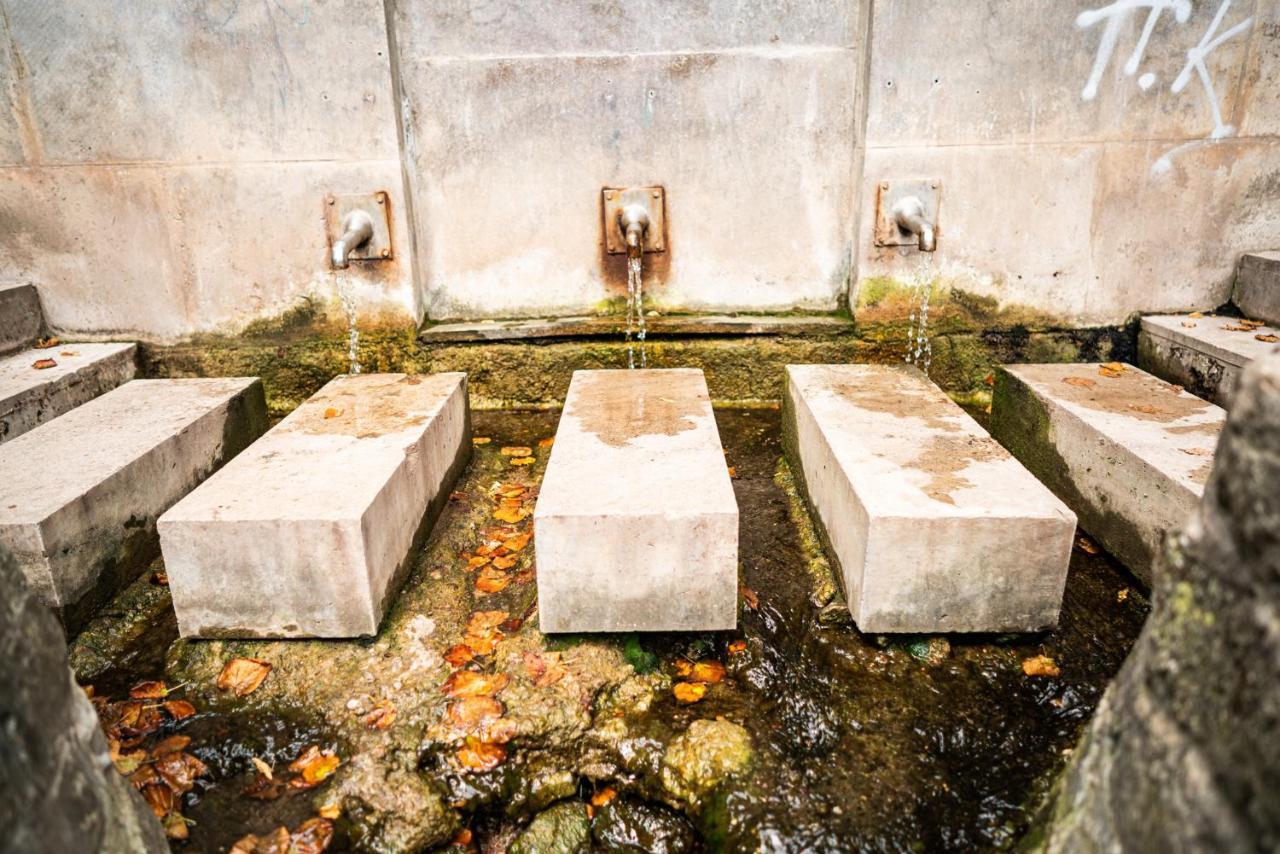 埃尔福特 Dreibrunnen Gastehaus Im Luisenpark酒店 外观 照片